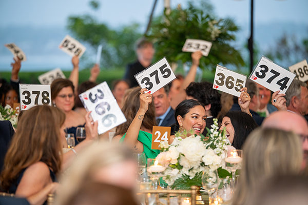 Bravo Bradley Auction