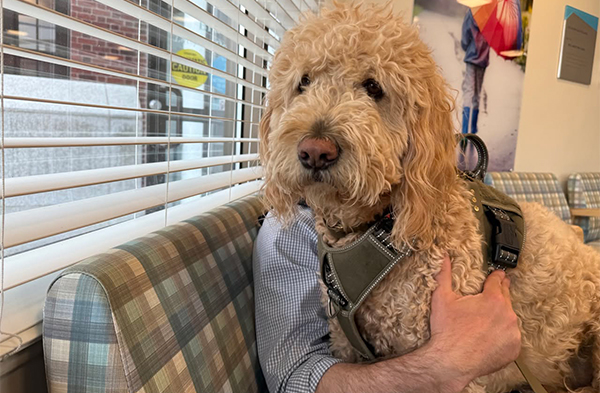 Bradley Hospital's therapy dog