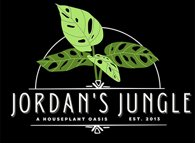 Jordans Jungle