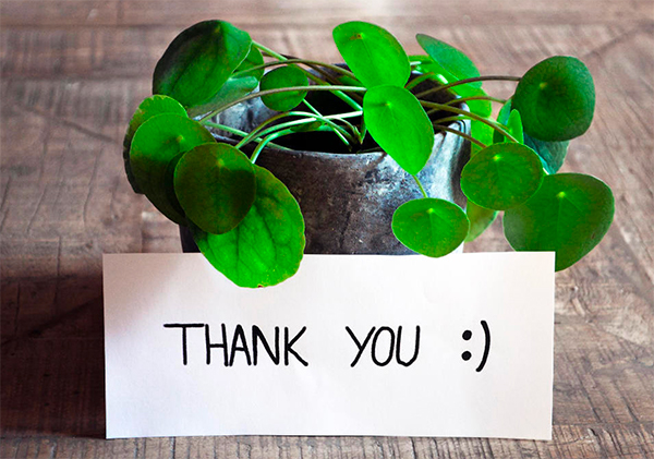 Thank you for supporting The Miriam
