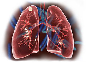illustration of a pair of lungs